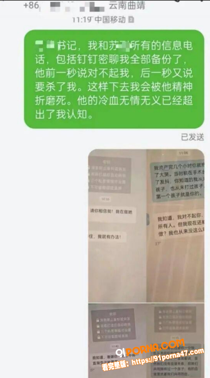 云南曲靖师宗副县长 苏尔...（8）